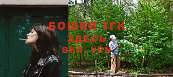 сатива Абаза