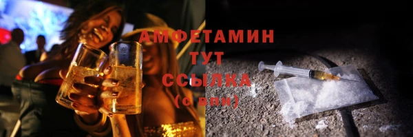 сатива Абаза