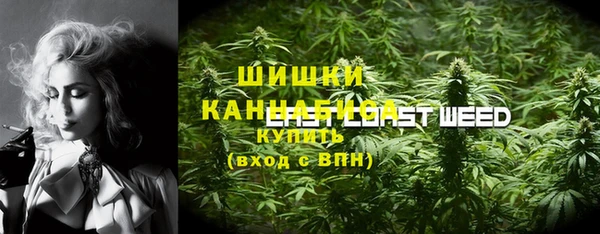 сатива Абаза