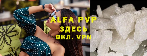сатива Абаза