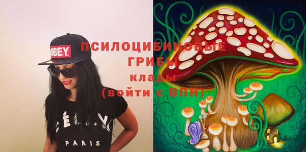 сатива Абаза